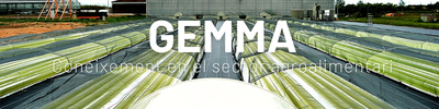gemma.png