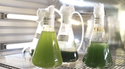 Microbiomes.jpg