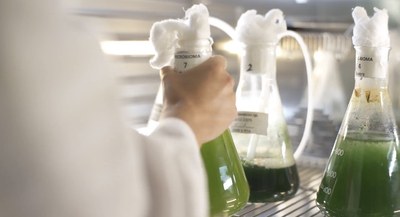 Microbiomes2.jpg
