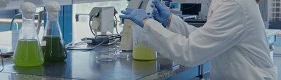 microscopi3.jpg